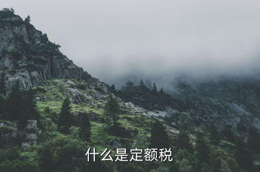 什么是定額納稅，什么是定額稅