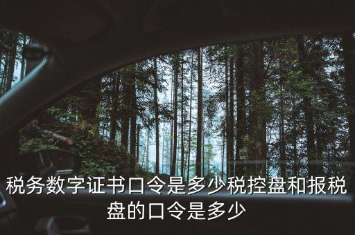 國稅證書口令是什么，我想問下國家稅務網上申報點擊安全登錄時出現(xiàn)的用戶口令是什么