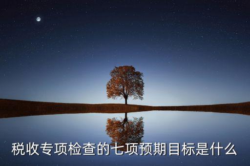 什么是稅收專項調(diào)查，稅收專項檢查的七項預期目標是什么