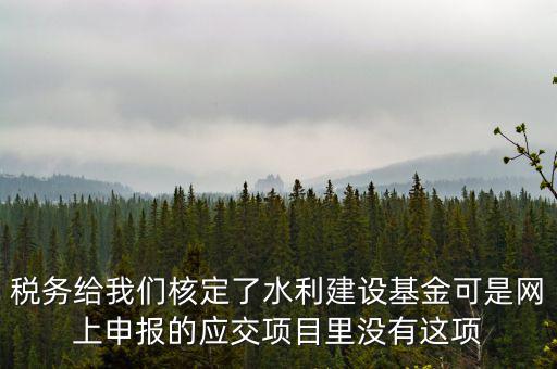 稅務給我們核定了水利建設基金可是網(wǎng)上申報的應交項目里沒有這項