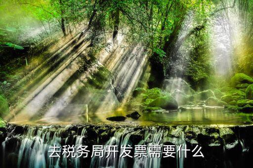 去稅務局開發(fā)票需要什么