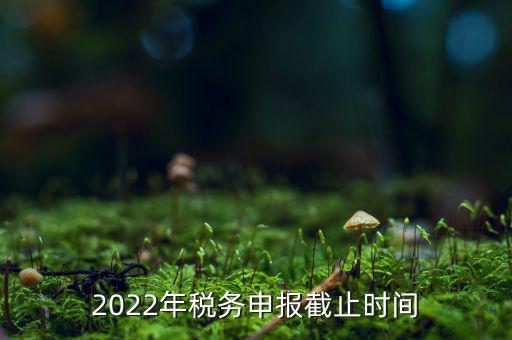 2022年稅務(wù)申報截止時間