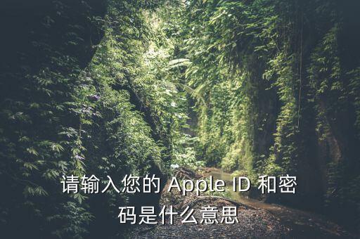 查詢個(gè)稅 密碼是輸入什么，請輸入您的 Apple ID 和密碼是什么意思