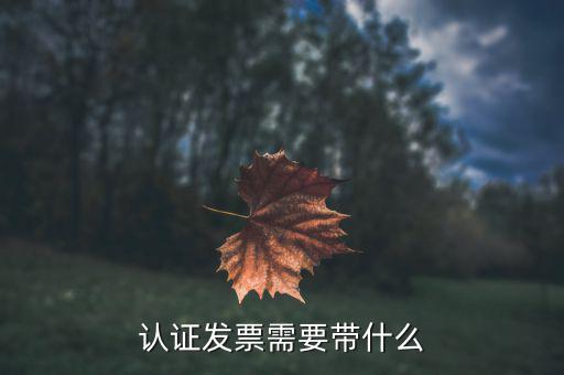 認(rèn)證發(fā)票需要帶什么