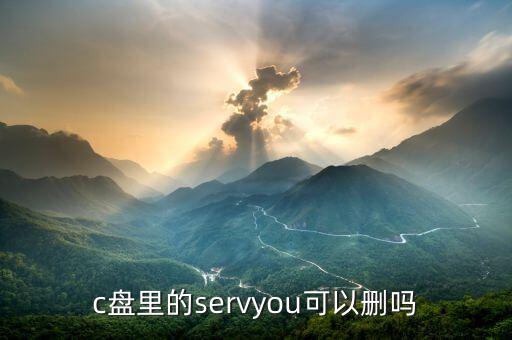 c盤里的servyou可以刪嗎