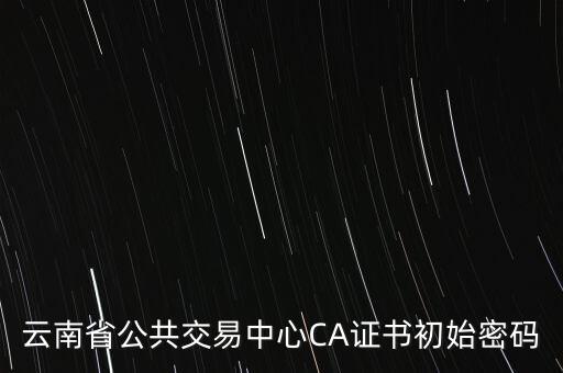 ca證書的原始密碼是什么意思，云南省公共交易中心CA證書初始密碼