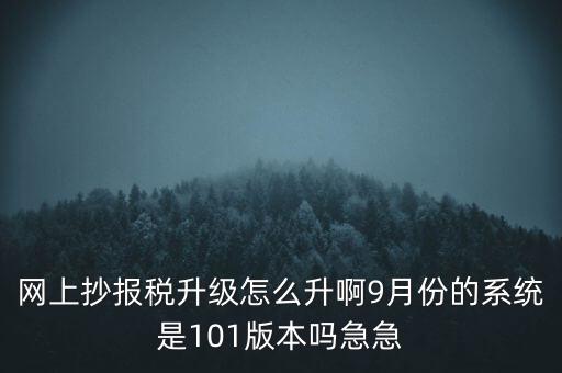 網上抄報稅升級怎么升啊9月份的系統(tǒng)是101版本嗎急急