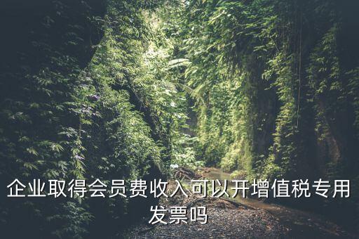 企業(yè)取得會員費收入可以開增值稅專用發(fā)票嗎