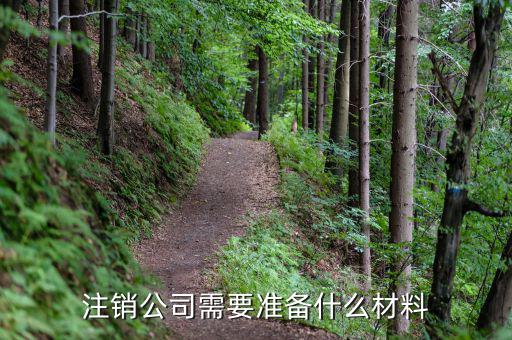 公司注銷帶什么資料嗎，公司銷戶要帶什么資料