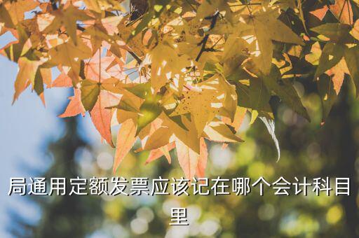 局通用定額發(fā)票應(yīng)該記在哪個會計科目里