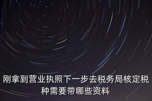 湖北國(guó)稅增加稅種需要帶什么資料，企業(yè)報(bào)稅種需要帶什么資料