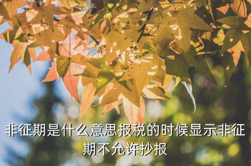 非征期是什么意思報稅的時候顯示非征期不允許抄報