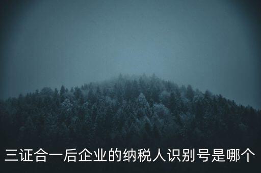 三證合一后企業(yè)的納稅人識(shí)別號(hào)是哪個(gè)