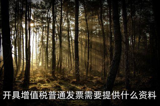 開增值稅提供什么資料，開具增值稅普通發(fā)票需要提供什么資料