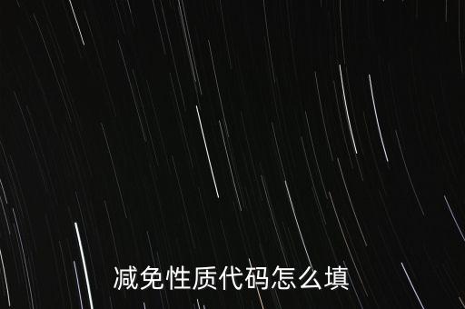 減免性質(zhì)代碼怎么填