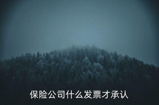 保險公司要什么發(fā)票，保險公司什么發(fā)票才承認