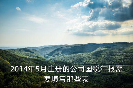 2014年5月注冊(cè)的公司國(guó)稅年報(bào)需要填寫(xiě)那些表