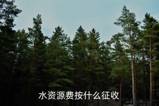 水資源稅實行什么征收，水資源費(fèi)按什么征收