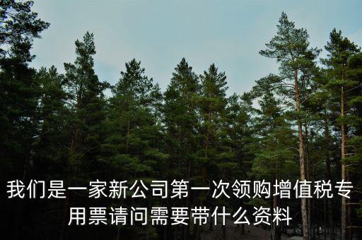 我們是一家新公司第一次領購增值稅專用票請問需要帶什么資料