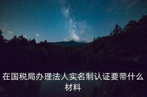 服務(wù)廳實(shí)名辦稅要帶什么，服務(wù)業(yè)辦稅務(wù)登記要些什么證件