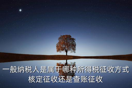 一般納稅人屬于什么，什么是一般納稅人