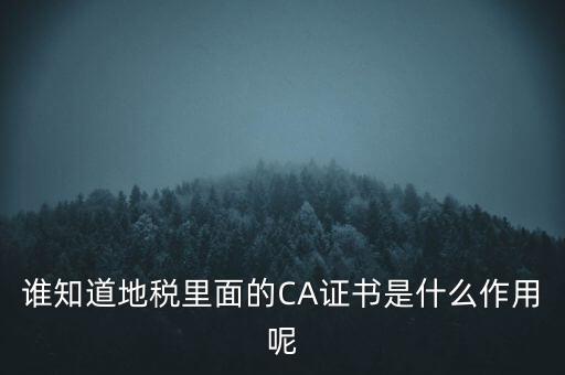 地稅的ca證書(shū)是什么，什么是聯(lián)通ca證書(shū)地稅ca證書(shū)