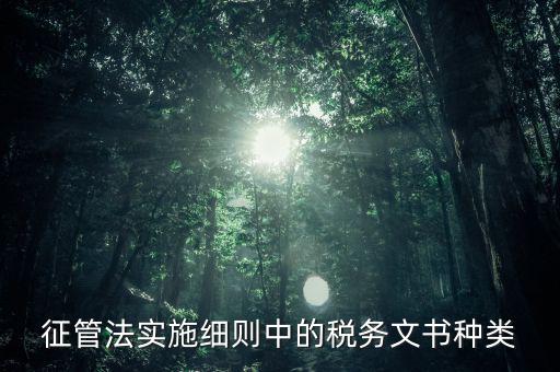 征管法實(shí)施細(xì)則中的稅務(wù)文書種類