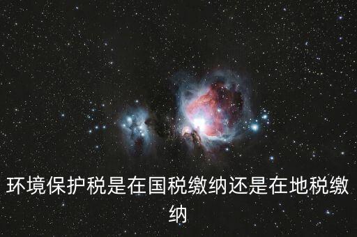 什么是環(huán)境保護(hù)稅納稅人，環(huán)境稅是什么意思