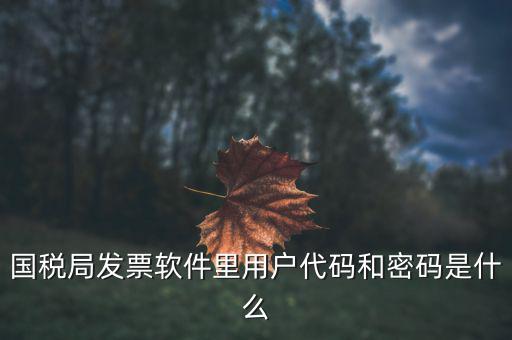 查詢發(fā)票要密碼是什么，國稅局發(fā)票軟件里用戶代碼和密碼是什么