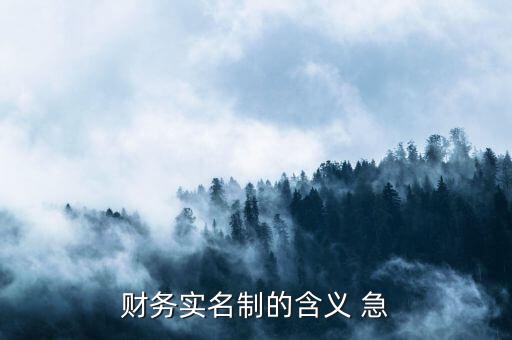 稅務(wù)實(shí)名制是什么意思，財(cái)務(wù)實(shí)名制的含義 急