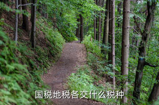 國(guó)稅和地稅分別交什么稅，國(guó)稅和地稅分別交哪些稅