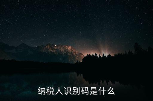 網(wǎng)上報(bào)稅納稅人識別碼是什么，納稅人識別碼是什么