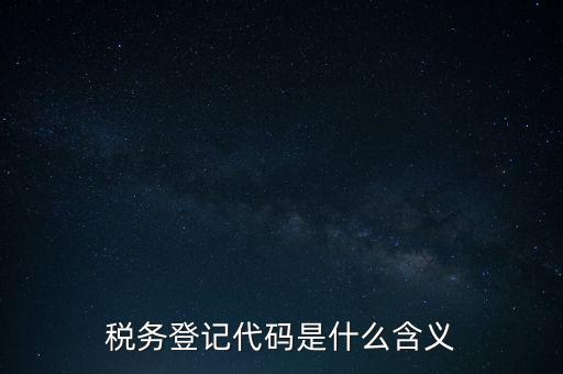 國稅發(fā)票認證登錄代碼是什么意思，國稅局發(fā)票軟件里用戶代碼和密碼是什么