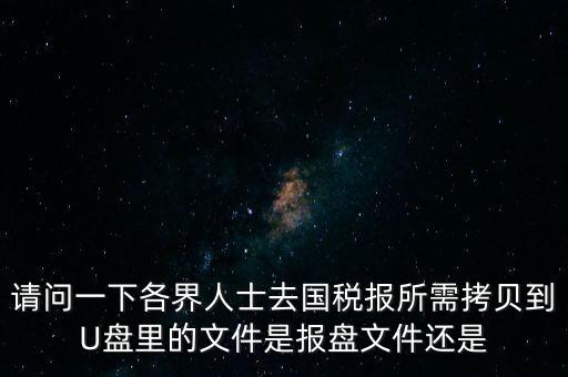 請問一下各界人士去國稅報所需拷貝到U盤里的文件是報盤文件還是