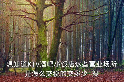 ktv交納什么稅，想知道KTV酒吧小飯店這些營業(yè)場所是怎么交稅的交多少  搜