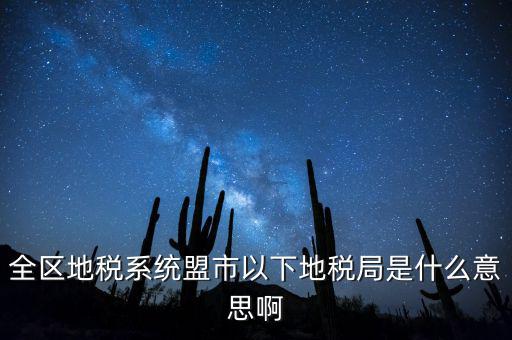 全區(qū)地稅系統(tǒng)盟市以下地稅局是什么意思啊