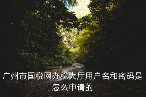 廣州國稅官網(wǎng)登錄密碼是什么原因，國稅第一次網(wǎng)上申報的登陸密碼是什么