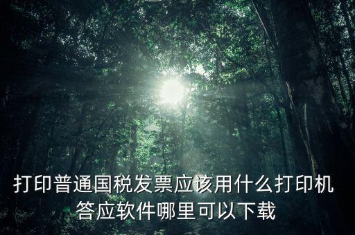 打國稅發(fā)票用什么軟件，打印普通國稅發(fā)票應(yīng)該用什么打印機 答應(yīng)軟件哪里可以下載