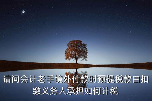 請問會計老手境外付款時預(yù)提稅款由扣繳義務(wù)人承擔(dān)如何計稅