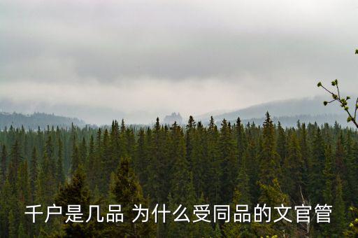 什么千戶集團(tuán)，千戶是什么意思