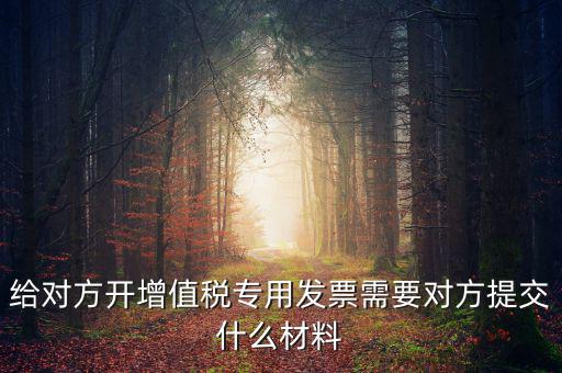 開專票要什么資料，加油卡開增值稅專用發(fā)票需要什么資料