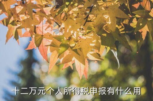 十二萬元個(gè)人所得稅申報(bào)有什么用