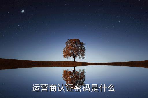 網(wǎng)上認證密碼密碼是什么，一般上網(wǎng)認證系統(tǒng)初始密碼是什么