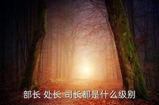 部長(zhǎng) 處長(zhǎng) 司長(zhǎng)都是什么級(jí)別