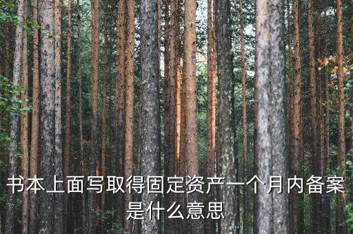 書本上面寫取得固定資產(chǎn)一個月內(nèi)備案是什么意思