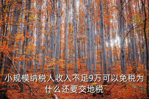 為什么納地稅，為什么要規(guī)定納稅地點(diǎn)