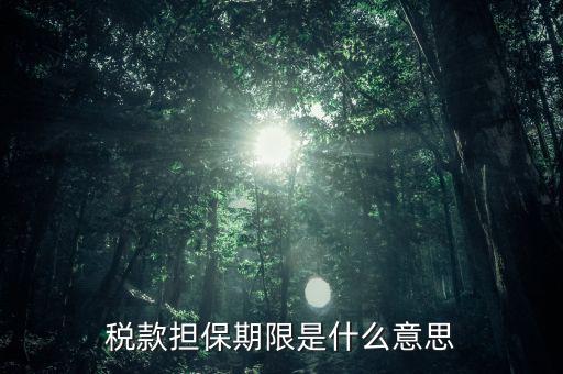 納稅擔保人什么意思，稅款擔保期限是什么意思