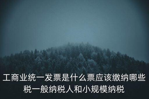 工商業(yè)統(tǒng)一發(fā)票是什么票應該繳納哪些稅一般納稅人和小規(guī)模納稅