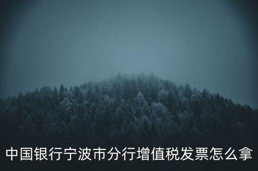 寧波國(guó)稅過(guò)發(fā)票要帶什么，浙江地區(qū)公司首次拿發(fā)票去國(guó)稅局需要帶什么證件