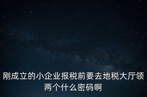 繳稅服務(wù)廳口令輸什么，剛成立的小企業(yè)報(bào)稅前要去地稅大廳領(lǐng)兩個(gè)什么密碼啊